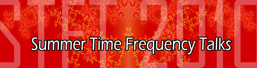STFT 2009 banner